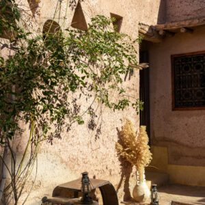 Marrakech, the ocher city